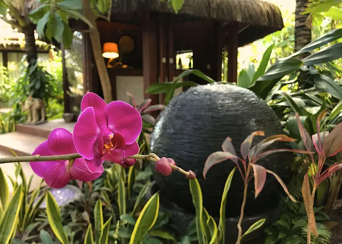 Paua Hotel Boutique